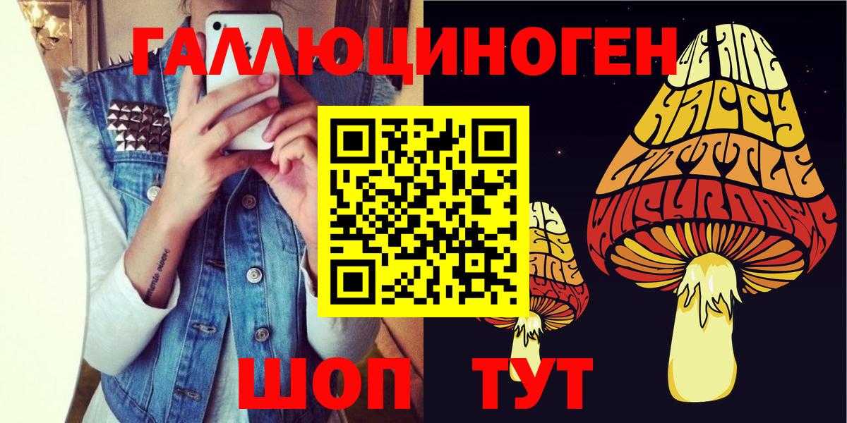 Новочеркасск  Псилоцибиновые грибы Cubensis  закладки  Вход с VPN 