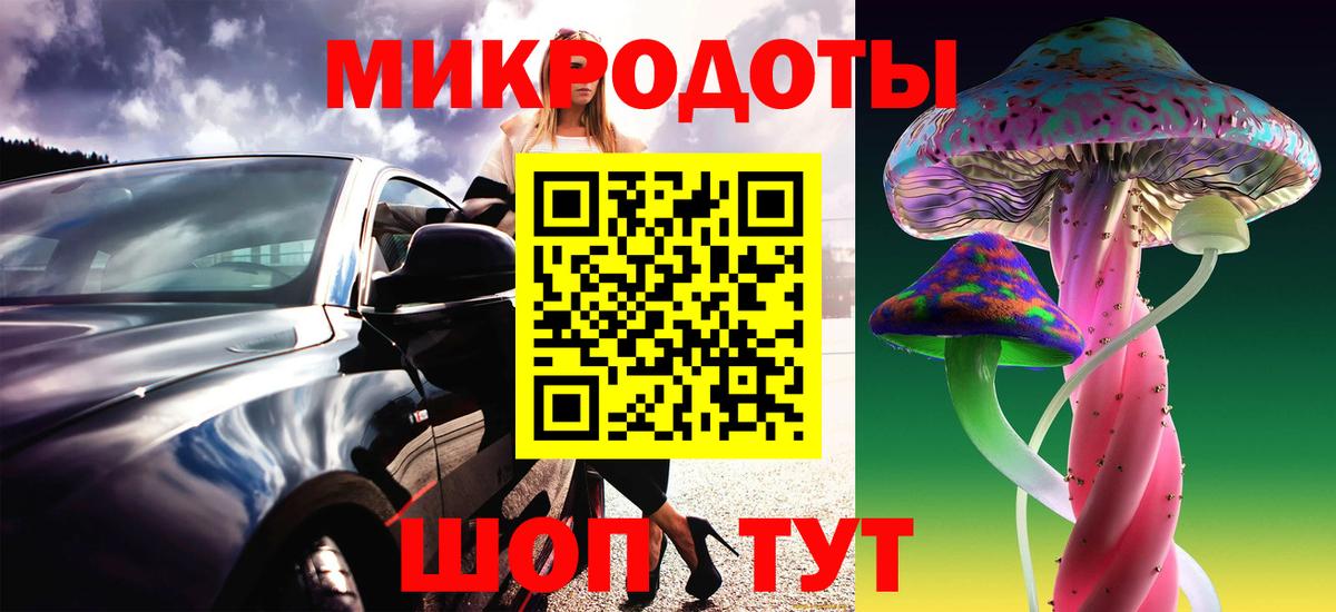 Галлюциногенные грибы Psilocybine cubensis Новочеркасск